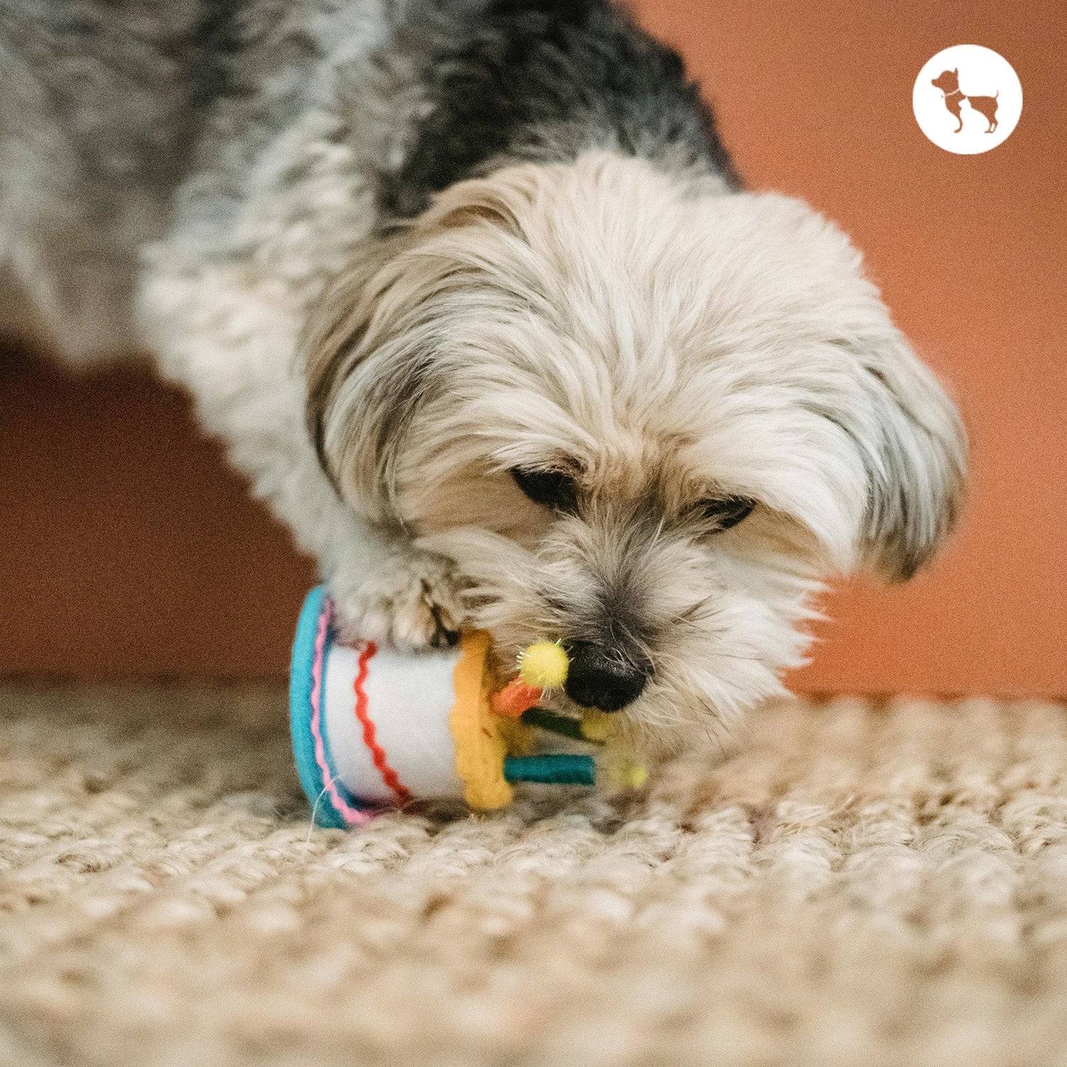 Chew Toys