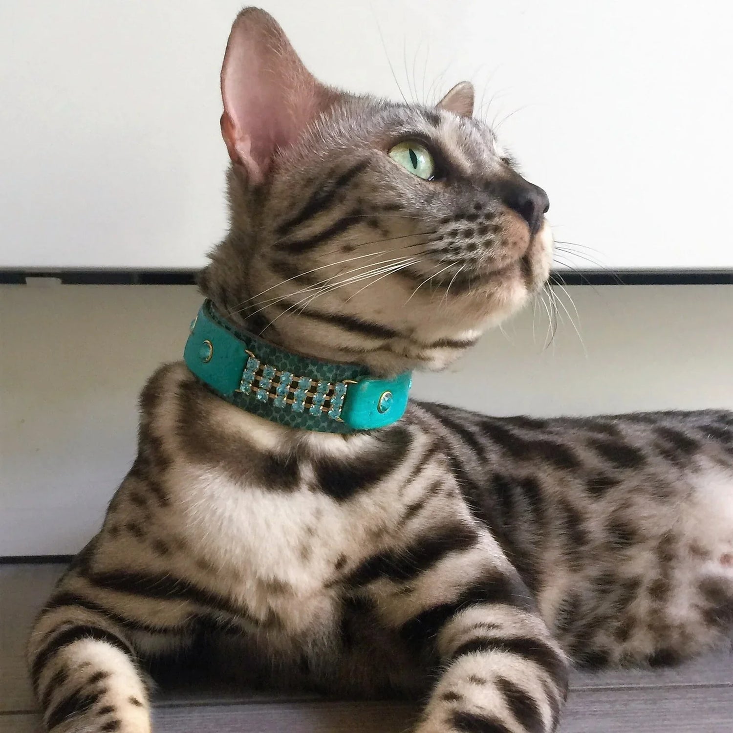 Collars