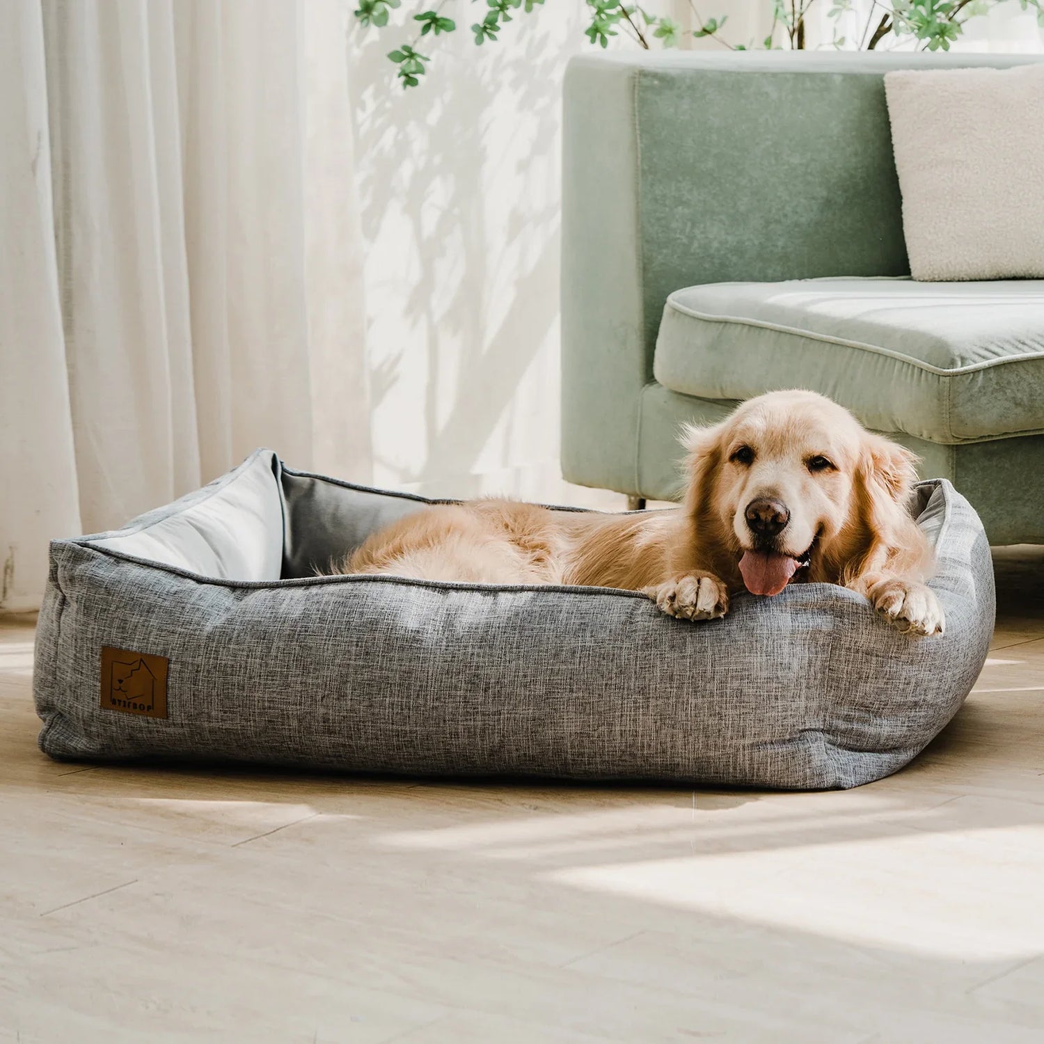 Dog Beds